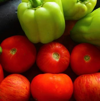 The Lowest Temperature For Tomatoes and Peppers