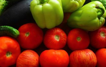 The Lowest Temperature For Tomatoes and Peppers