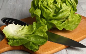 What Does Butter Lettuce Look Like