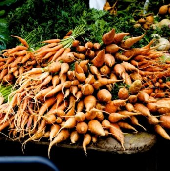 What Is The Botanical Name Of Carrot