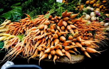 What Is The Botanical Name Of Carrot