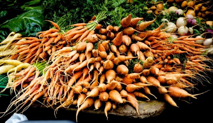 What Is The Botanical Name Of Carrot