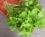 When Do You Harvest Spinach