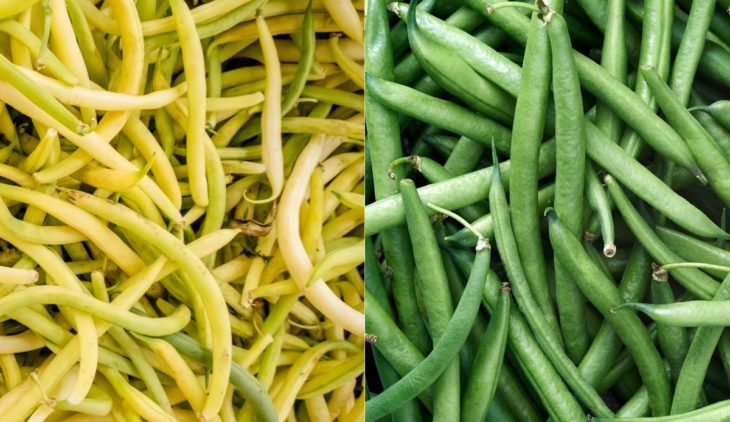 Yellow Beans vs Green Beans