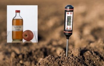 A Study On Lowering Soil pH With Vinegar