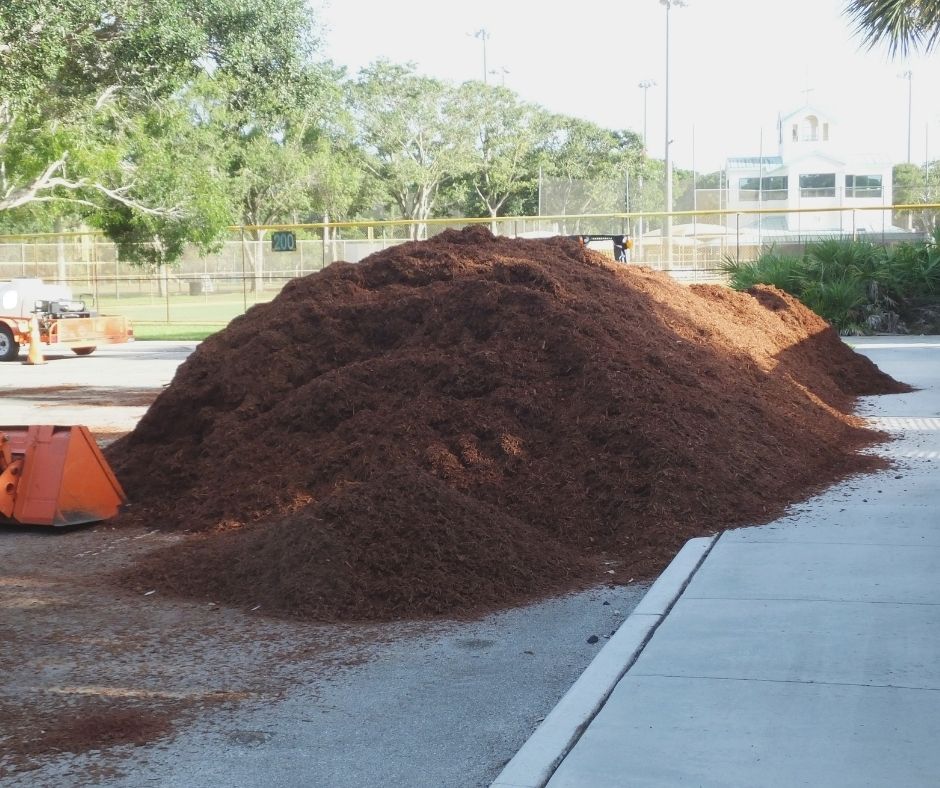 How To Get Rid Of Flies In Mulch