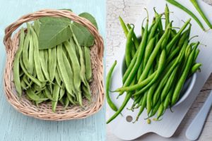 Runner Beans vs Green Beans