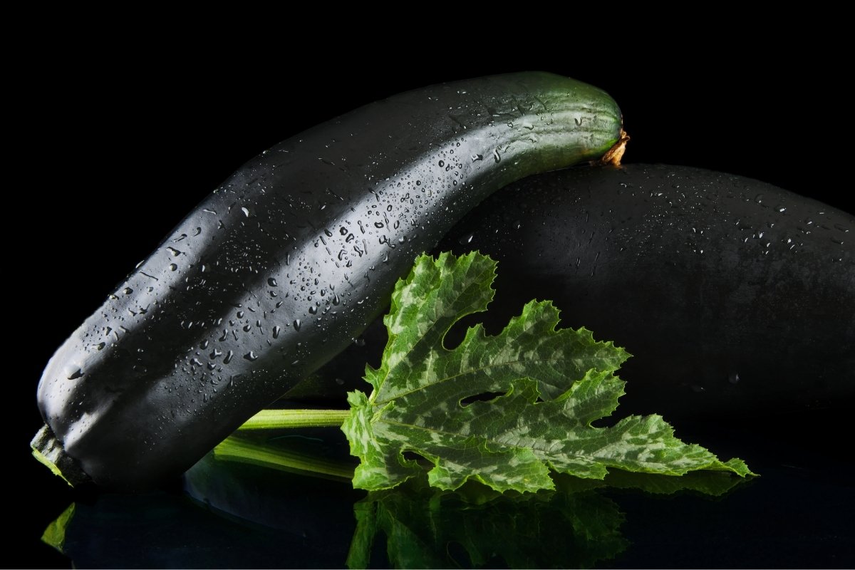 A Guide To Growing Black Beauty Zucchini