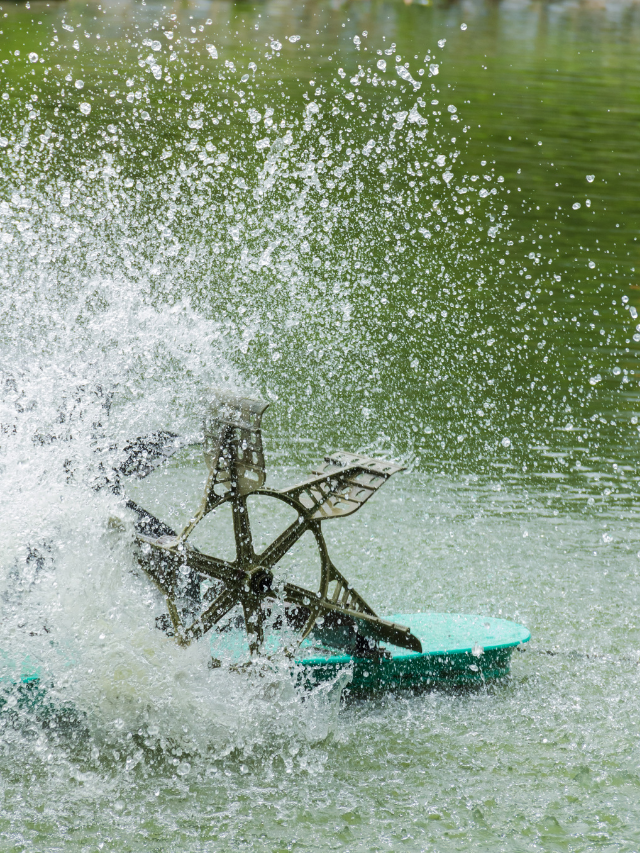 A Guide To Aerating Water For Plants