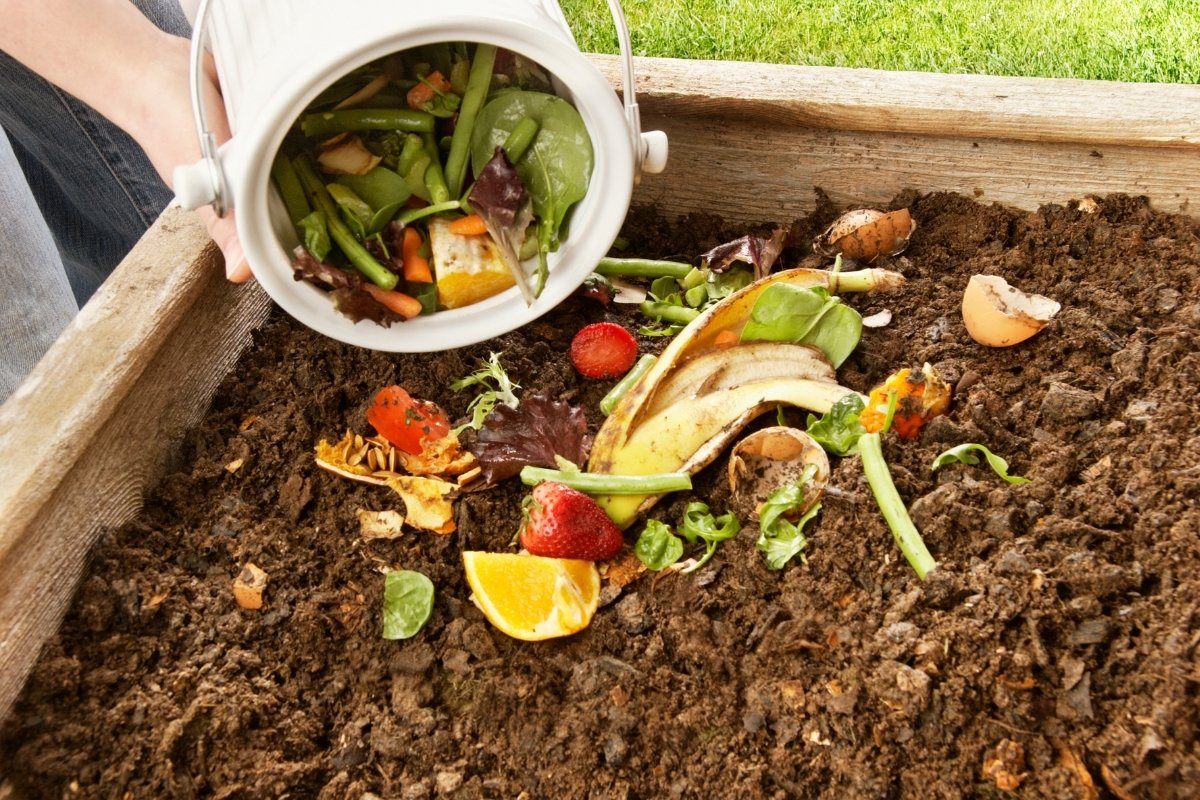 All about brown vs green compost