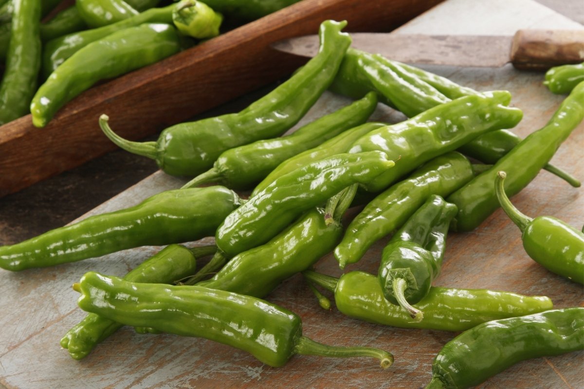 Are Green Chillies Hot - An Overview