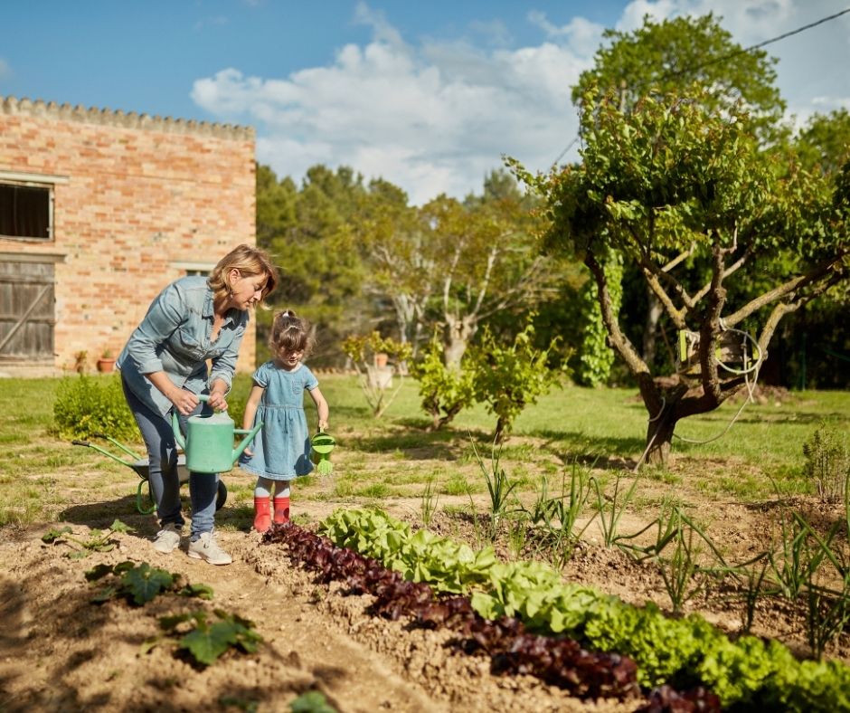 How To Water A Garden