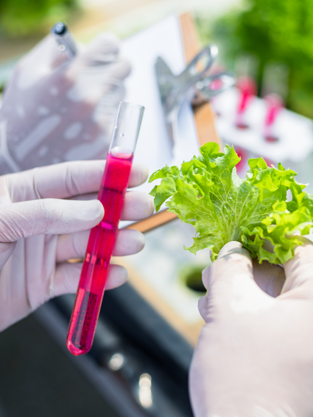 Hydroponics Nutrient Solution