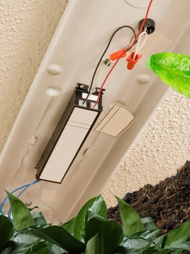 cropped-Grow-Lights-Ballasts.jpg