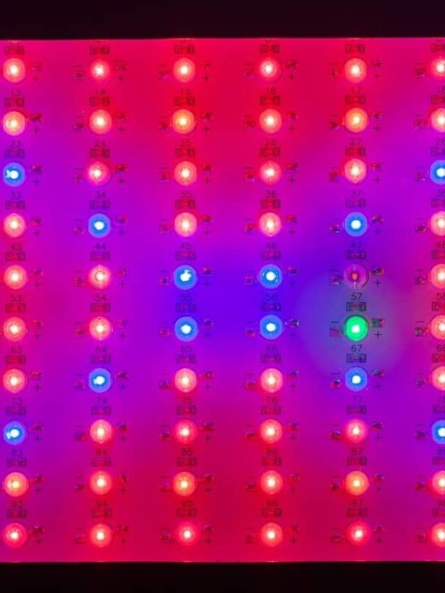 What Do People Think Of Platinum LED Grow Lights? The Reviews