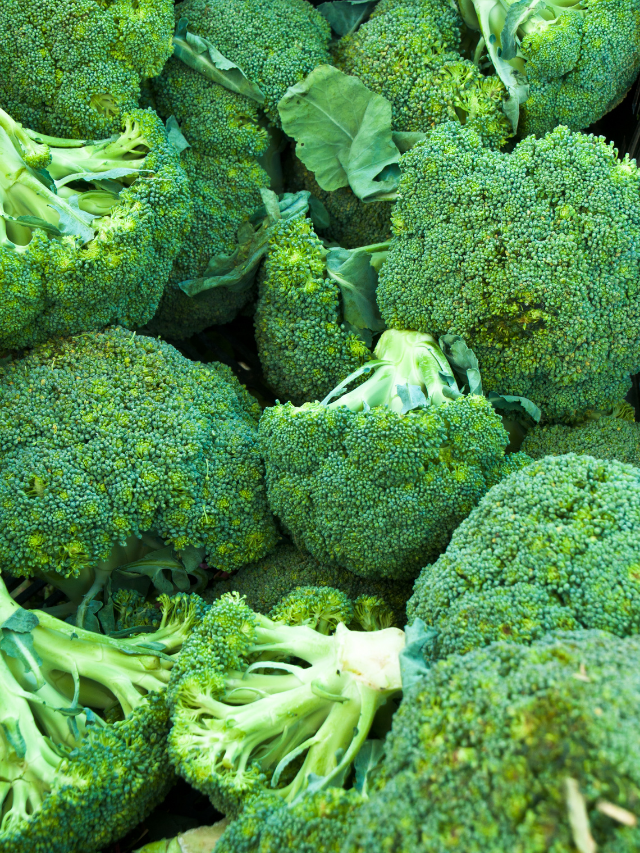 A Quick Guide To Head Of Broccoli