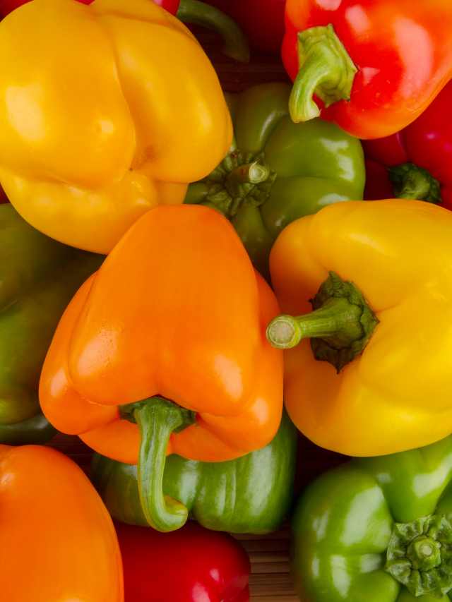 All About Bell Pepper Sprouts