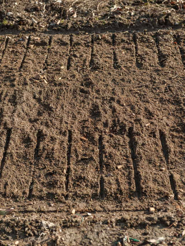 Can You Add Sand To Clay Soil?