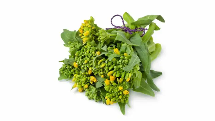 when to harvest broccolini