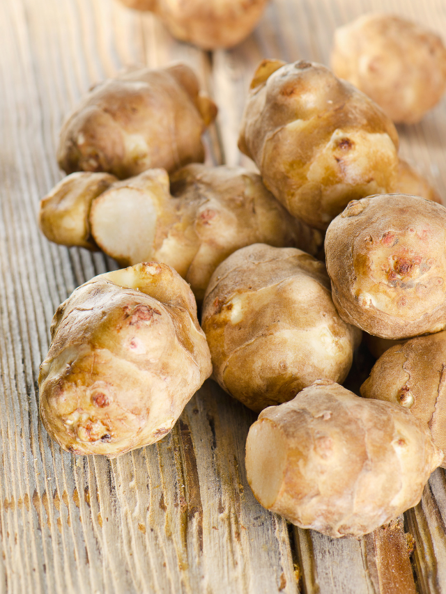 Find Out If You Are Living In A Jerusalem Artichoke Growning Zone