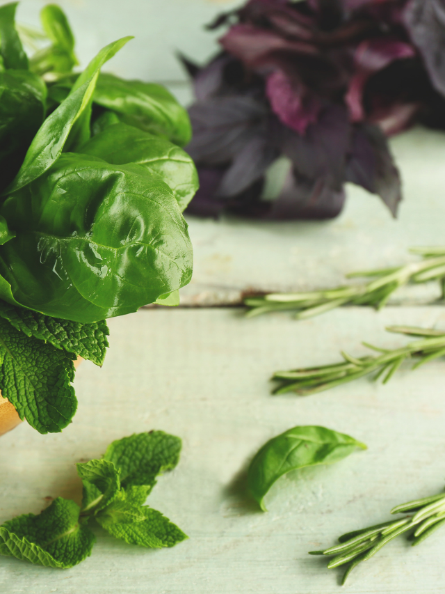 Is Thai Basil Better Than Basil?