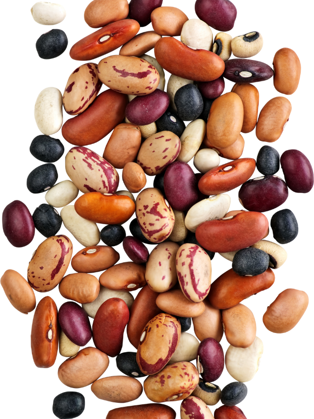 String Beans Varieties