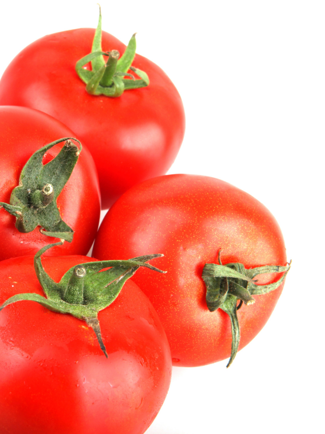 Tomatoes That Are Disease Resistent