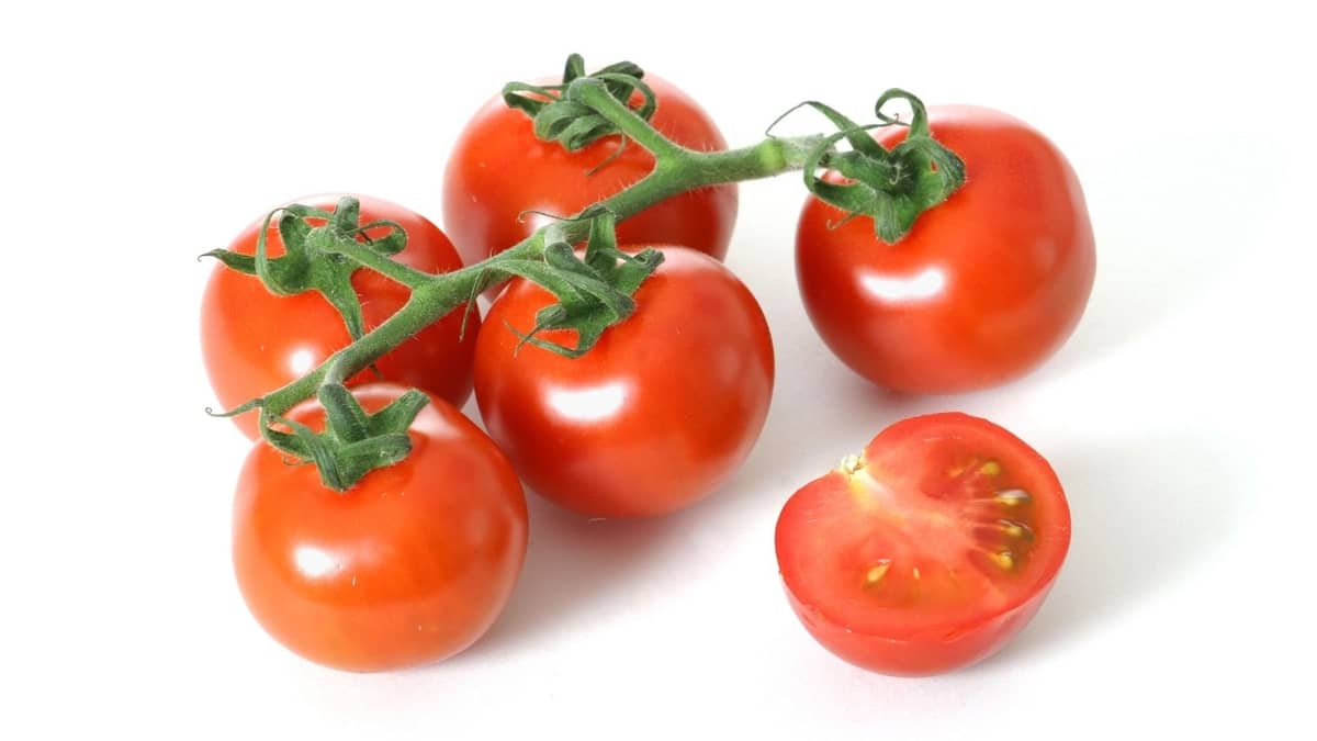 Do Tomatoes Grow On Vines?  