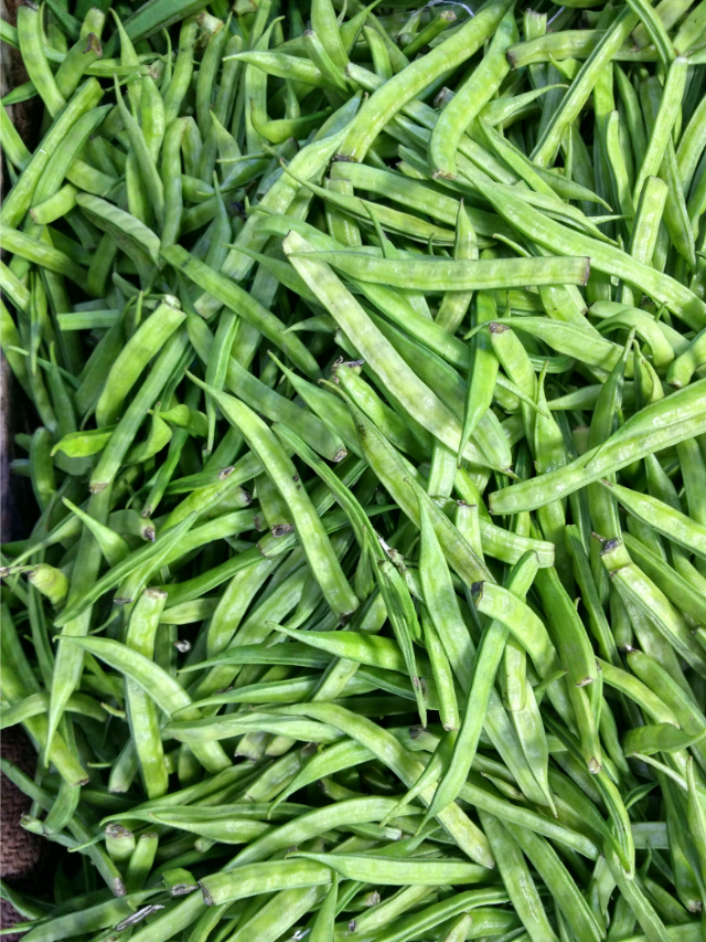 What Is The Best Fertilizer For Green Beans? Find Out Here