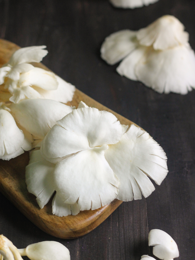 What Is The Best Oyster Mushroom?