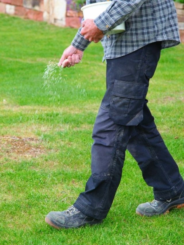 cropped-A-Look-At-How-To-Add-Potassium-To-Lawn-1.jpg