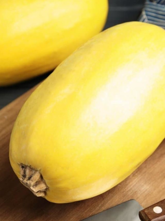 cropped-How-To-Tell-If-A-Spaghetti-Squash-Is-Ripe.jpg