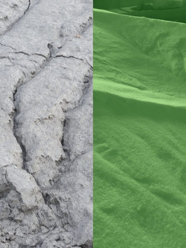 cropped-The-Differences-Between-Greensand-vs-Azomite.jpg