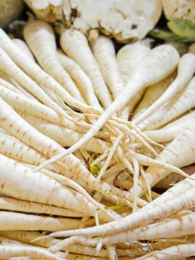 cropped-What-Are-White-Carrots-Called.jpg