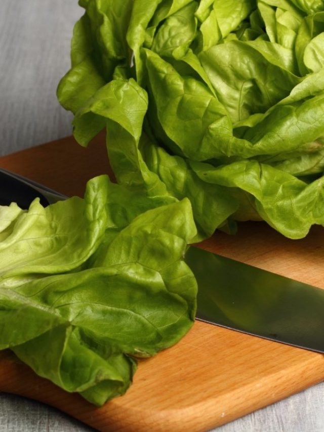 cropped-What-Does-Butter-Lettuce-Look-Like.jpg