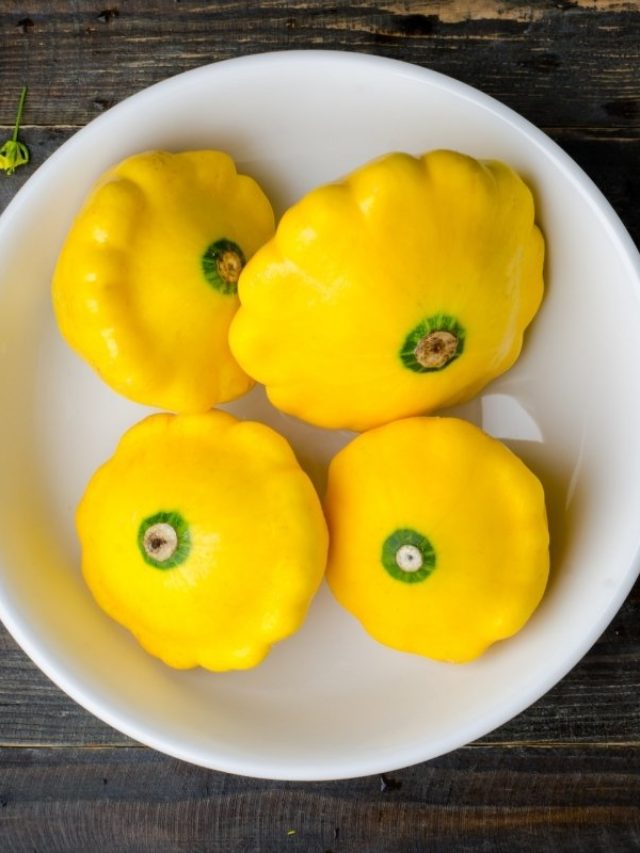 cropped-What-Does-Patty-Pan-Squash-Taste-Like.jpg