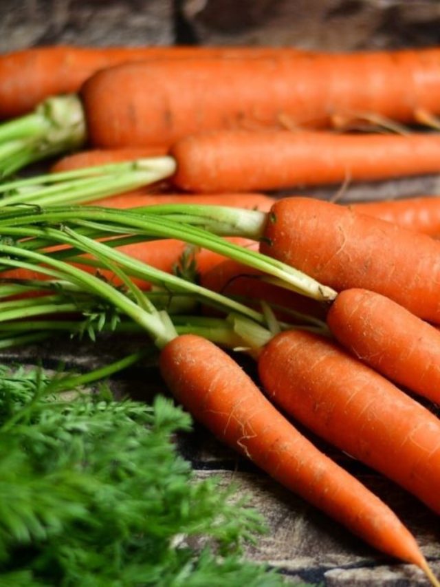 Best Time To Harvest Carrots