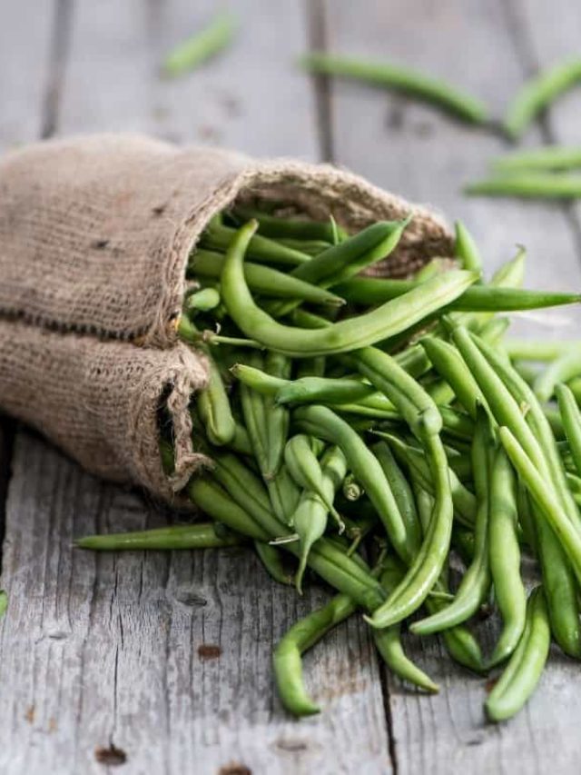 where-in-the-world-do-green-beans-come-from-grower-today