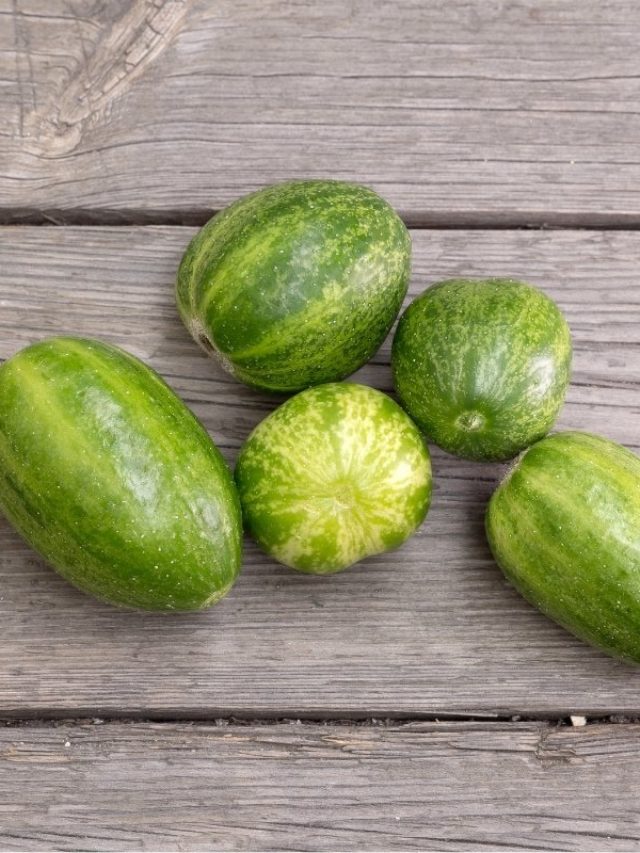 Why Are Cucumbers A Round Shape?
