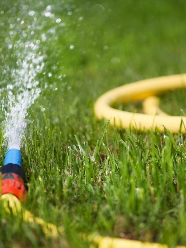 All You Need To Know About Garden Hose Size