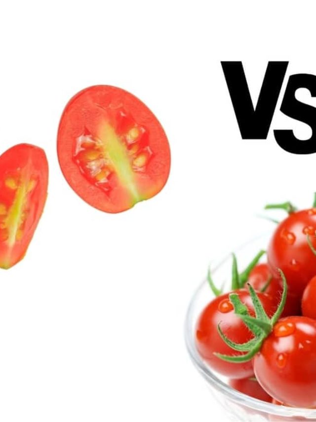 General Information About Grape Tomatoes vs Cherry Tomatoes