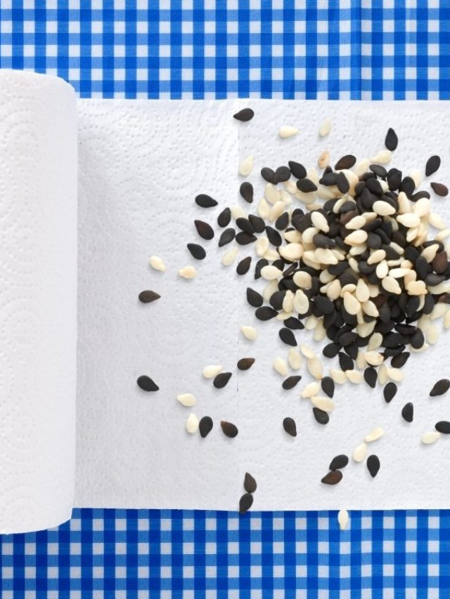 A Detailed Guide On How To Germinate Seeds With Paper Towels