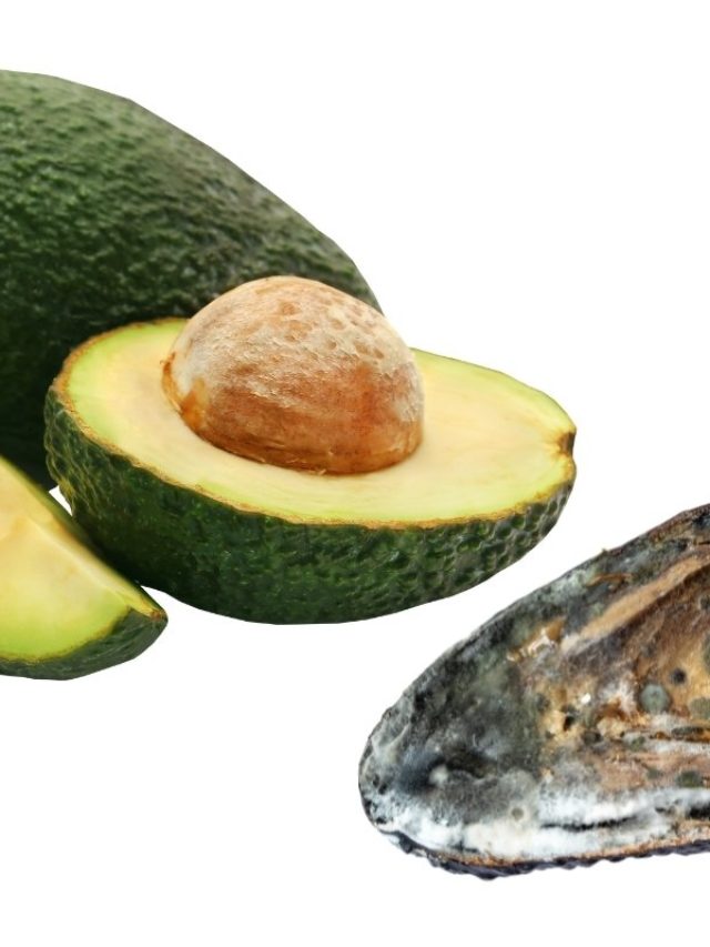 Why Is There White Mold On Avocado