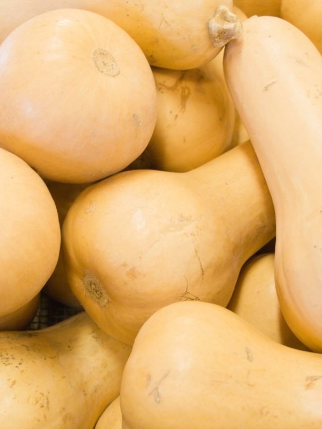 Will Butternut Squash Ripen Off The Vine?