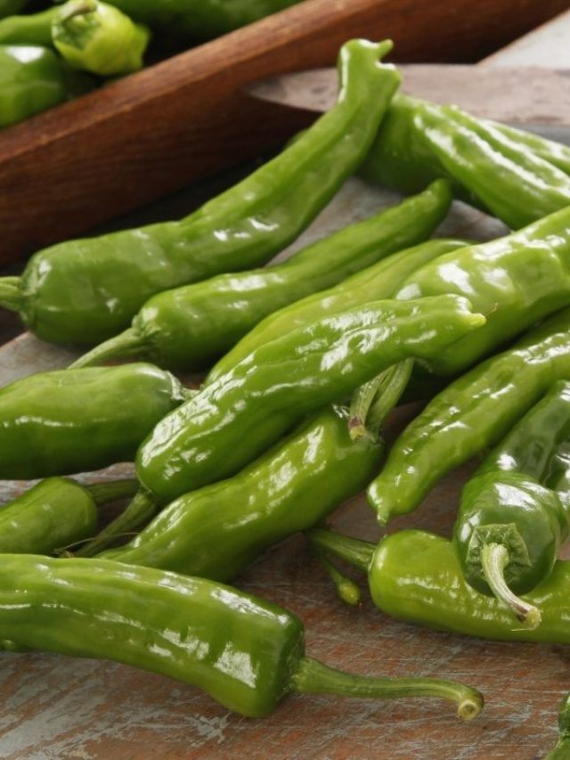 Are-Green-Chillies-Hot-An-Overview