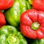Plant Your Own Peppers- Spacing And Growing Tips