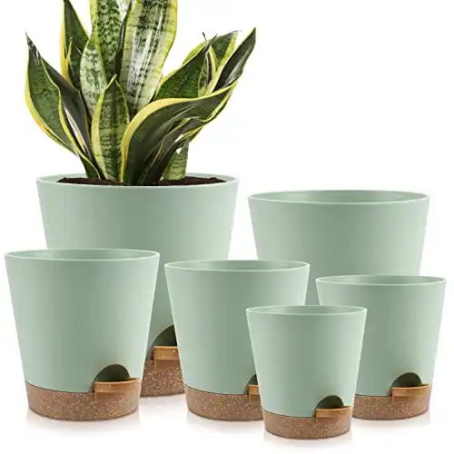 Indoor Self Watering Planters with Drainage Holes and Saucers