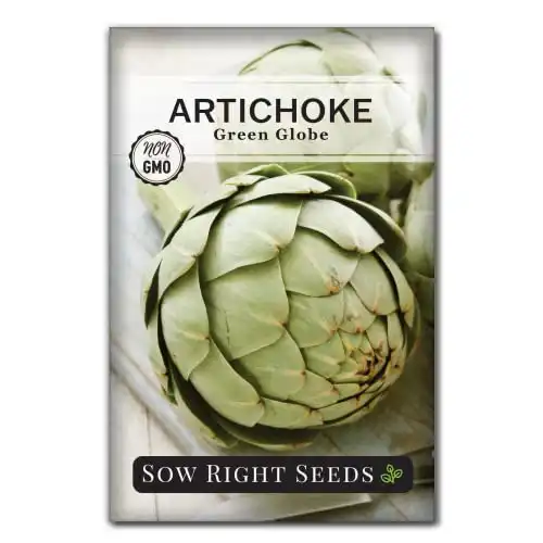 Sow Right Seeds - Artichoke Green Globe Seeds for Planting