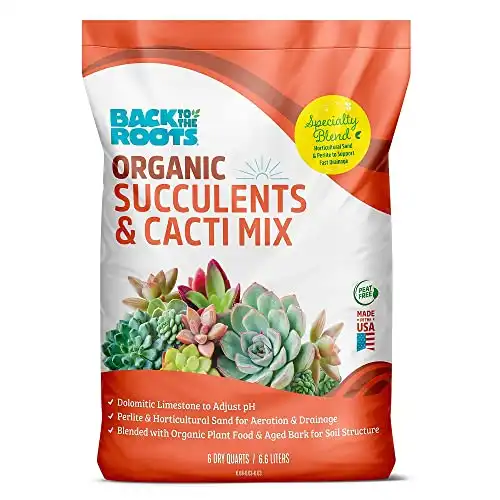 Organic Succulent Cacti Mix