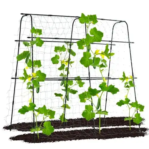 Lalahoni Garden Cucumber Trellis for Climbing Plants